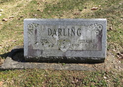 Peter M Darling 