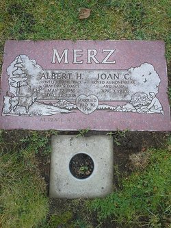 Albert Henry Merz 