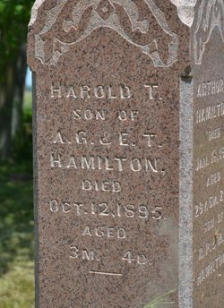 Harold W. Hamilton 