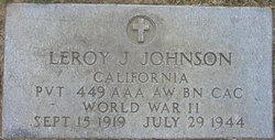 Leroy J Johnson 