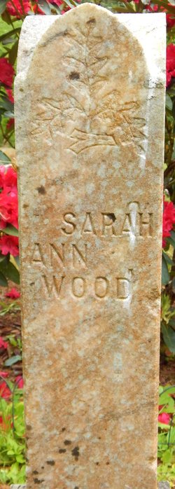 Sarah Ann Wood 