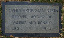 Sophia <I>Begelman</I> Stein 