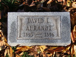 David LeRoy Aurandt 