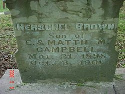 Herschel B. Campbell 
