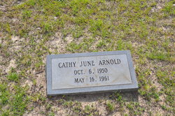 Cathy June Arnold 
