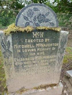 Mitchell McNaughton 