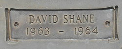 David Shane Adams 