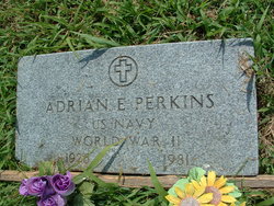 Adrian E Perkins 
