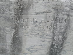 Timothy F. Shea 