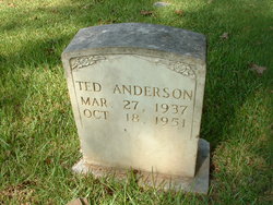 Ted Anderson 