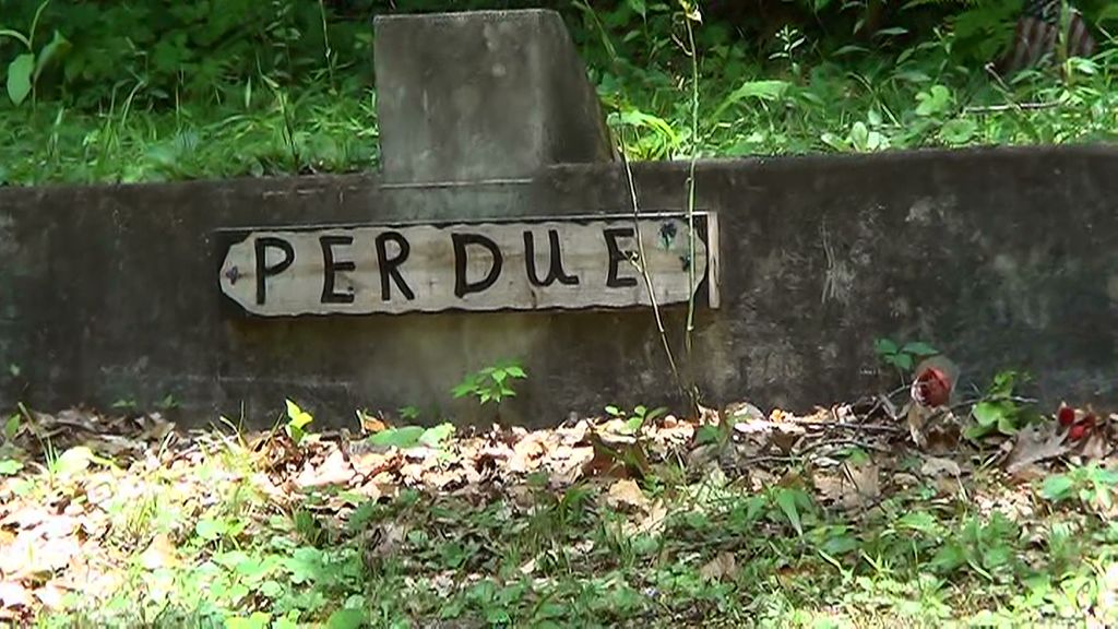 Still Run-Perdue Cemetery
