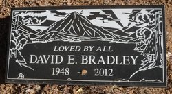 David E. Bradley 