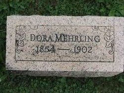 Dora V <I>Barber</I> Mehrling 