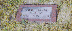 Albert Eugene Burgess 