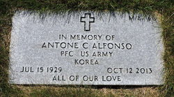 Antone C Alfonso 