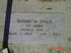 David Arlo Shaw 