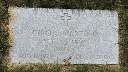 Ciro J Martino 