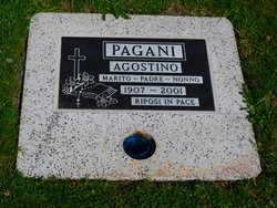 Agostino Pagani 
