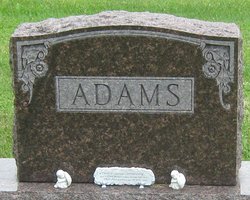 David D Adams 
