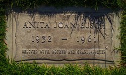 Anita Joan Busch 