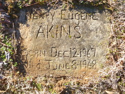 Henry Eugene Akins 
