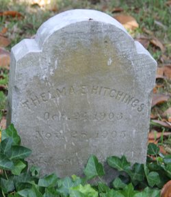 Thelma Eugene Hitchings 