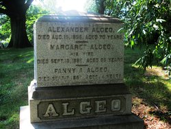 Alexander Algeo 