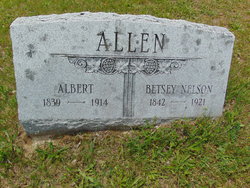 Betsy <I>Nelson</I> Allen 