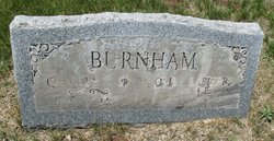 Charles Nelson Burnham Jr.