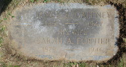 James E Gaffney 