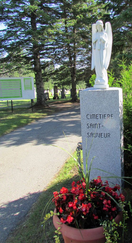 Cimetière de Saint-Sauveur-des-Monts
