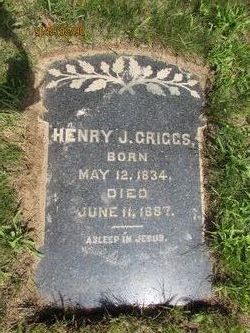 Henry Johnson Griggs 