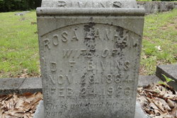Rosanna “Rosa” <I>Lanham</I> Bivins 