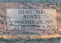 Steven Bert Adams 