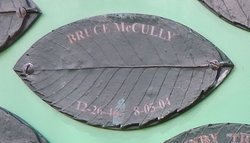 Bruce McCully 