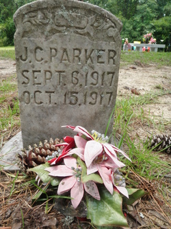 J. C. Parker 