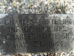 Charles E Fort Jr.