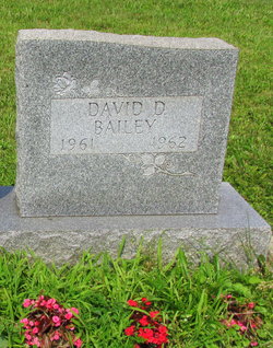 David D Bailey 