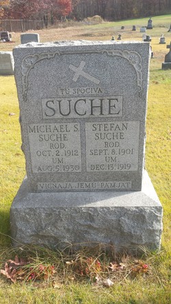 Michael S. Suche 