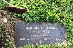 Meredith E Liebl 