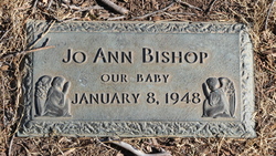 Jo Ann Bishop 