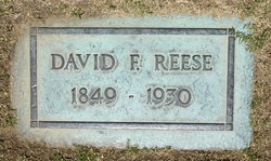 David Finley Reese 