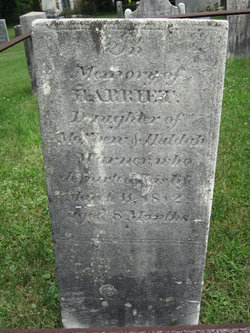 Harriet Warner 