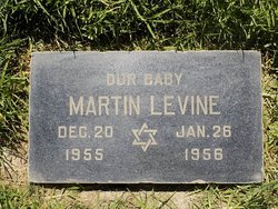 Martin Allan Levine 