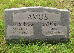 Simon L. Amos 