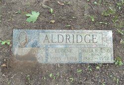 Hiram Eugene Aldridge 