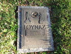 Domingo Loynaz 
