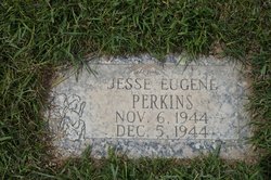Jesse Eugene Perkins 