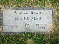 Elaine Reed 