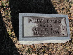 Polly <I>Jenkins</I> Akins 